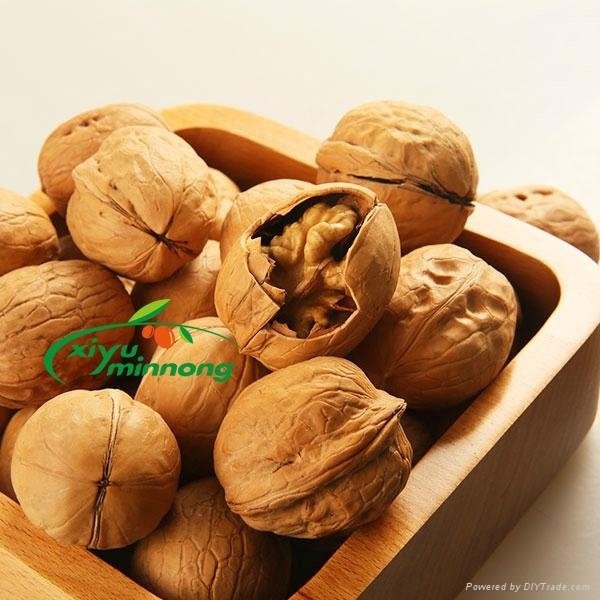 Thin-shell walnut 2