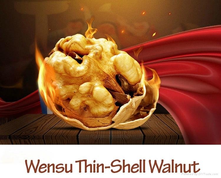 Thin-shell walnut 3