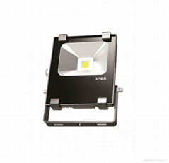 LED Flood Light