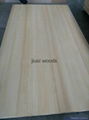 pine edge glued board solid wood board wood panel 2