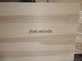 Poplar wood sawn timber edge glued poplar wood panel 3