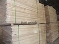 Poplar wood sawn timber edge glued poplar wood panel 5