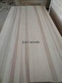 Poplar wood sawn timber edge glued poplar wood panel 4