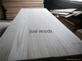 Best price Paulownia Edge Glued Board