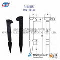 Dog Screw Spike in China