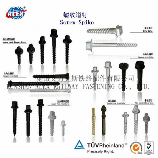 Rail Screw Spike Supplier in Kunshan