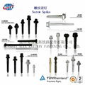 Rail Screw Spike Supplier in Kunshan