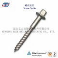 Rail Screw Spike Supplier in Kunshan 3