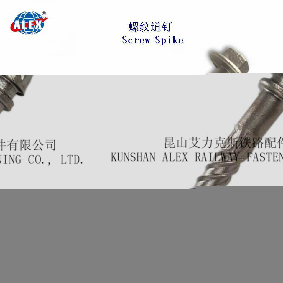 Rail Screw Spike Supplier in Kunshan 4