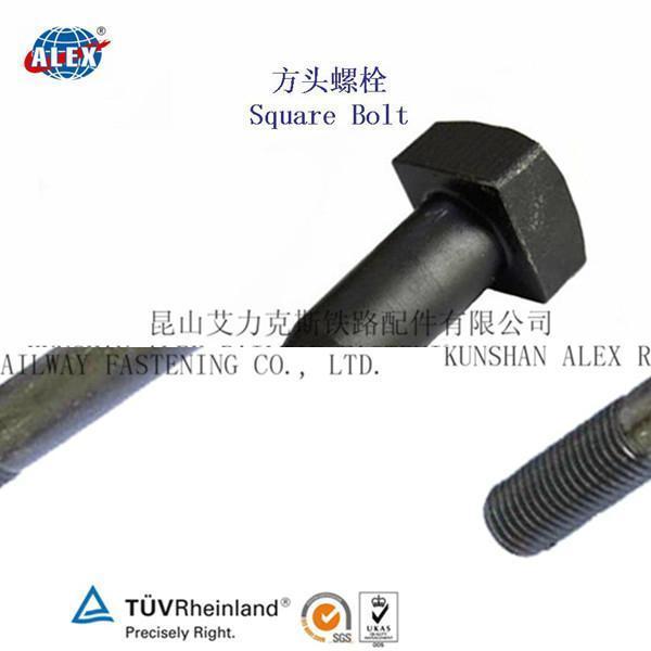 Square Head Bolt Supplier in Suzhou