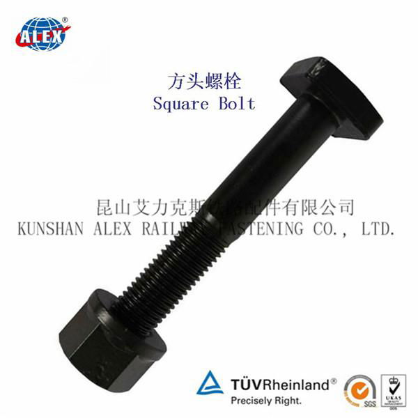 Square Head Bolt Supplier in Suzhou 5