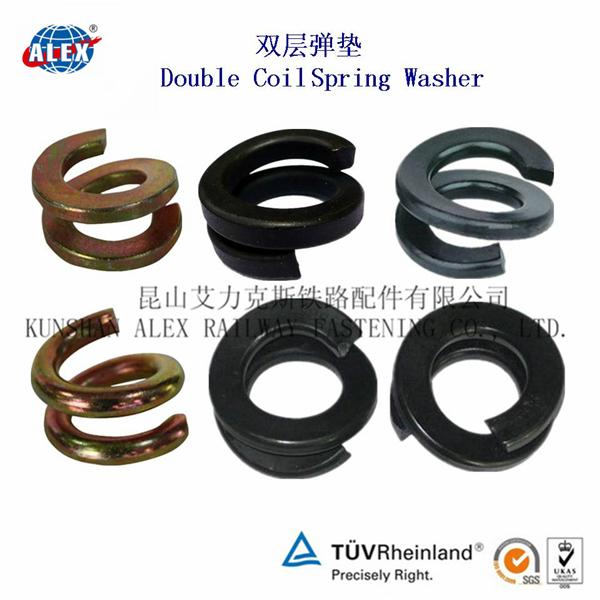 Spring Washer Elastic Washer SW Alex (China Manufacturer