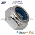 Nylon Insert Lock Nut  2