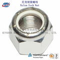 Nylon Insert Lock Nut  4