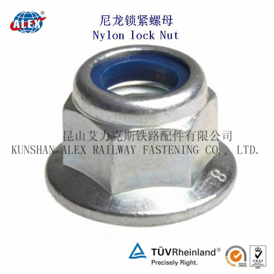 Nylon Insert Lock Nut  5