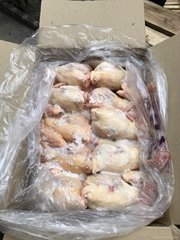 Grade A Halal Frozen Chicken 