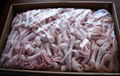 Frozen Chicken Feet and Paws 1