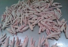 Frozen Chicken Feet and Paws