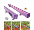 1.2m Osram Dimmbale led grow light  bar  with switches control 1