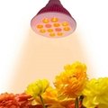 PAR38 12*3w  LED growing light bulb with CE ROHS approved 5