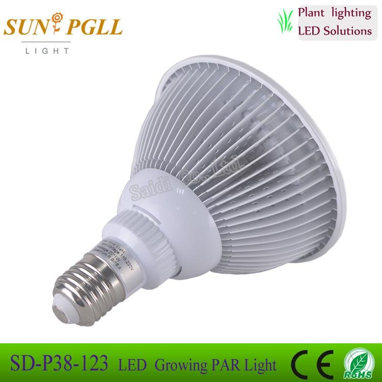 PAR38 12*3w  LED growing light bulb with CE ROHS approved 4