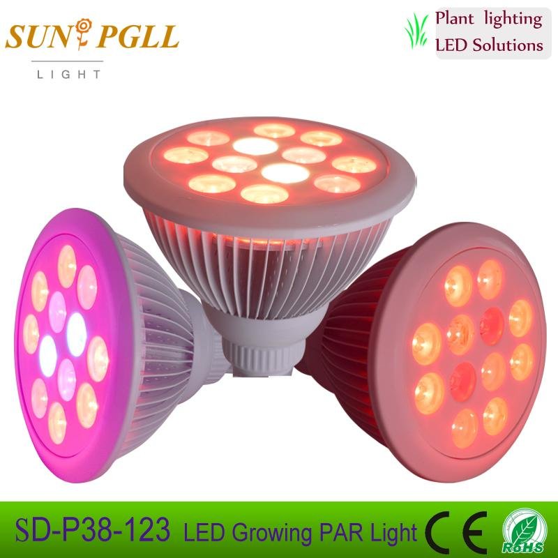 PAR38 12*3w  LED growing light bulb with CE ROHS approved