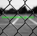 chain link fence