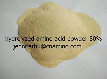 Enzymolysis vegetal compound amino acid powder 80% 2