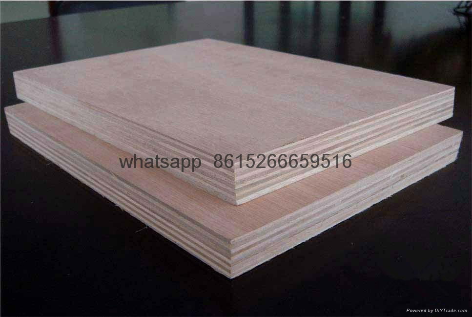 Commercial Plywood  4