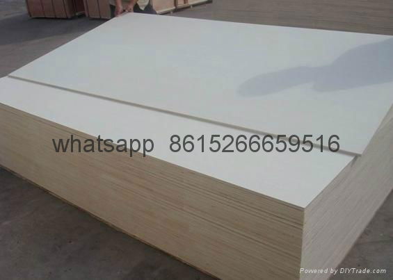 SHUTTERING PLYWOOD 3