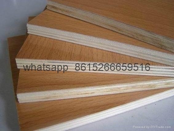 SHUTTERING PLYWOOD