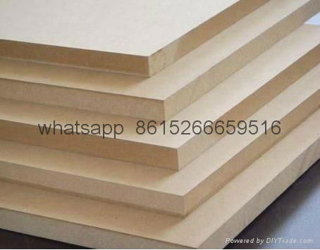 SHUTTERING PLYWOOD 2