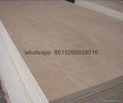 HAINA Commercial Plywood