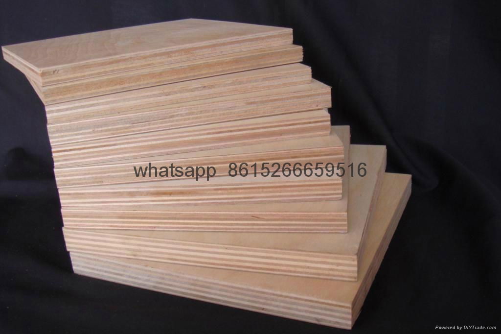 HAINA Commercial Plywood 2