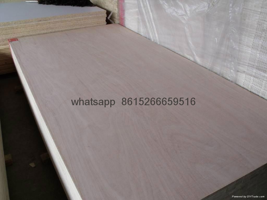 HAINA Commercial Plywood 5