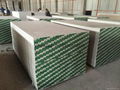 Gypsum Board