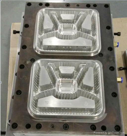 Thermoformed Mold for Food Packaging