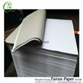 Grey Back Duplex Board paper from