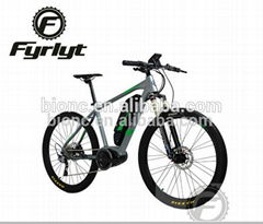 Samsung Lithium battery cheap 26'' 250W Electric bike made in China