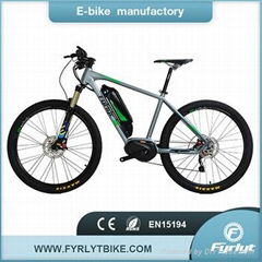 26'' lithium battery electric bike