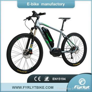 26'' lithium battery electric bike/bicycle with LCD displayer 3