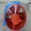 Fiberglass(FRP) Diagonal Fans 3