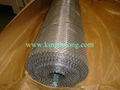 Stainless Steel Wire Mesh 1