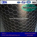 Hexagonal wire mesh 1