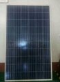 High efficiency poly solar modules 210W-250W 3