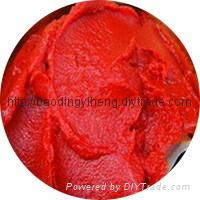 canned tomato paste