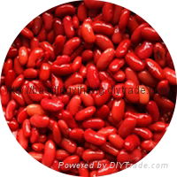 cannd red kidney beans