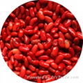 cannd red kidney beans 1