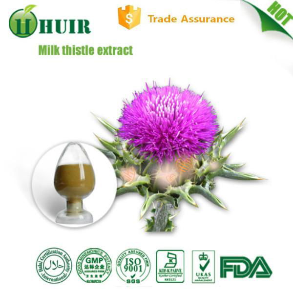 Milk thistle extract powder 80% silymarin