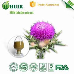 Milk thistle extract powder 80% silymarin